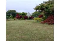 Fincas y Casas Campestres, Venta, Dagua - $400.000.000