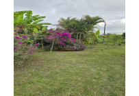 Fincas y Casas Campestres, Venta, Dagua - $400.000.000
