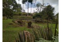 Fincas y Casas Campestres, Venta, La Elvira - $450.000.000