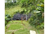 Fincas y Casas Campestres, Venta, La Elvira - $450.000.000