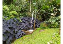 Fincas y Casas Campestres, Venta, La Elvira - $450.000.000