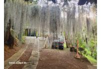 Fincas y Casas Campestres, Venta, Cristo Rey - $450.000.000