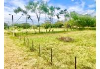 Lotes, Venta, Palmira - $352.500.000