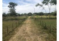 Lotes, Venta, Palmira - $352.500.000