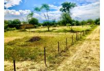 Lotes, Venta, Palmira - $352.500.000