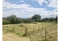 Lotes, Venta, Palmira - $352.500.000