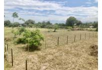 Lotes, Venta, Palmira - $352.500.000