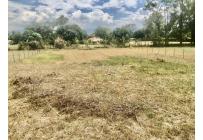 Lotes, Venta, Palmira - $352.500.000