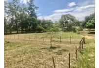 Lotes, Venta, Palmira - $352.500.000