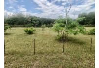 Lotes, Venta, Palmira - $352.500.000