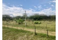 Lotes, Venta, Palmira - $352.500.000