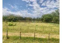 Lotes, Venta, Palmira - $352.500.000