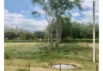 Lotes, Venta, Palmira - $352.500.000
