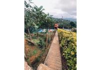 Fincas y Casas Campestres, Venta, Dagua - $630.000.000