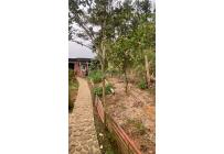 Fincas y Casas Campestres, Venta, Dagua - $630.000.000