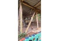 Fincas y Casas Campestres, Venta, Dagua - $630.000.000