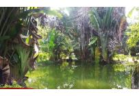 Fincas y Casas Campestres, Venta, Jamundí - $1.400.000.000