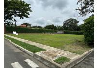 Lotes, Venta, Palmira - $350.000.000