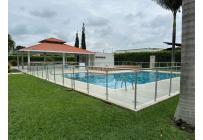 Lotes, Venta, Palmira - $350.000.000