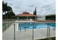 Lotes, Venta, Palmira - $350.000.000