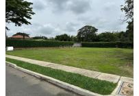 Lotes, Venta, Palmira - $350.000.000