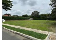 Lotes, Venta, Palmira - $350.000.000