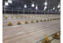 Casas, Venta, Jamundí - $40.000.000.000