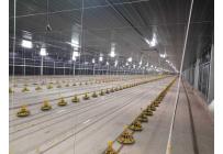 Casas, Venta, Jamundí - $40.000.000.000