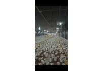 Casas, Venta, Jamundí - $40.000.000.000