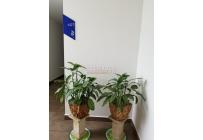 Apartamentos, Venta, Altos de Santa Teresita - $920.000.000