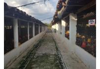 Fincas y Casas Campestres, Venta, San Pedro - $2.000.000.000