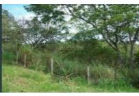 Lotes, Venta, Aguacatal - $320.000.000