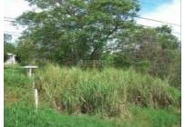 Lotes, Venta, Aguacatal - $320.000.000