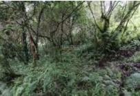 Fincas y Casas Campestres, Venta, Dagua - $1.781.307.173