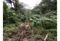 Fincas y Casas Campestres, Venta, Dagua - $1.781.307.173