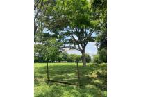 Lotes, Venta, Pance - $4.460.680.000