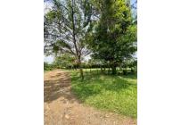 Lotes, Venta, Pance - $4.460.680.000