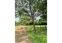 Lotes, Venta, Pance - $4.460.680.000