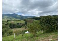 Lotes, Venta, Dagua - $130.000.000