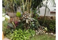 Casas, Venta, Pance - $2.000.000.000