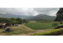 Fincas y Casas Campestres, Venta, Yumbo - $14.000.000.000