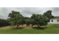 Fincas y Casas Campestres, Venta, Yumbo - $14.000.000.000