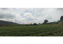 Fincas y Casas Campestres, Venta, Yumbo - $14.000.000.000