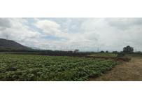 Fincas y Casas Campestres, Venta, Yumbo - $14.000.000.000