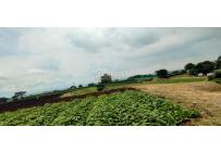 Fincas y Casas Campestres, Venta, Yumbo - $14.000.000.000