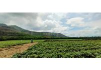 Fincas y Casas Campestres, Venta, Yumbo - $14.000.000.000