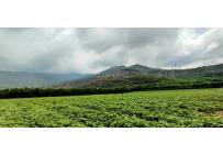 Fincas y Casas Campestres, Venta, Yumbo - $14.000.000.000