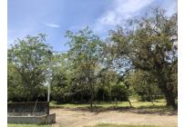 Lotes, Venta, Pance - $3.909.450.000