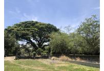 Lotes, Venta, Pance - $3.909.450.000