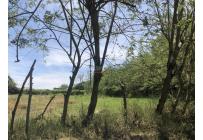 Lotes, Venta, Pance - $3.909.450.000